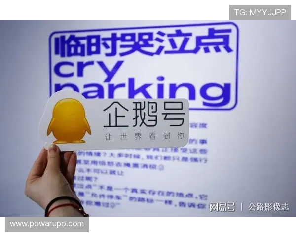 世界杯竞猜风险提示中文指南帮助用户理性参与竞猜活动安全防范指南